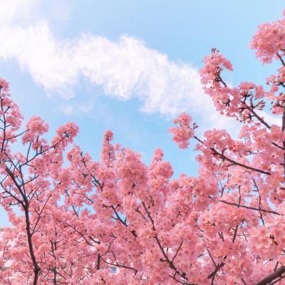 佣兵地下城九游版下载